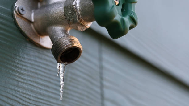 Best Local Plumber Services  in Broadview, IL
